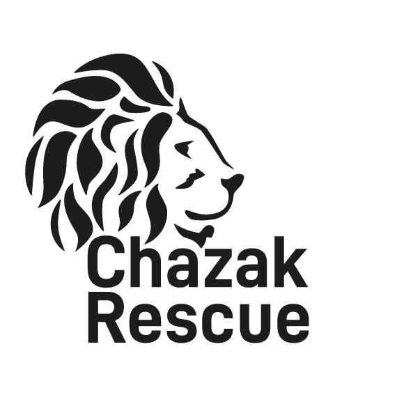 2026 Lancaster Awareness Event - logo